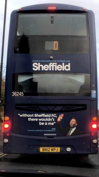 Pele bus