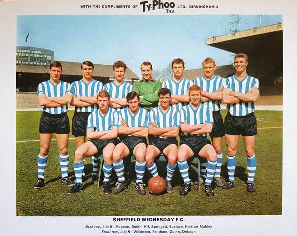 Sheffield wednesday typhoo tea